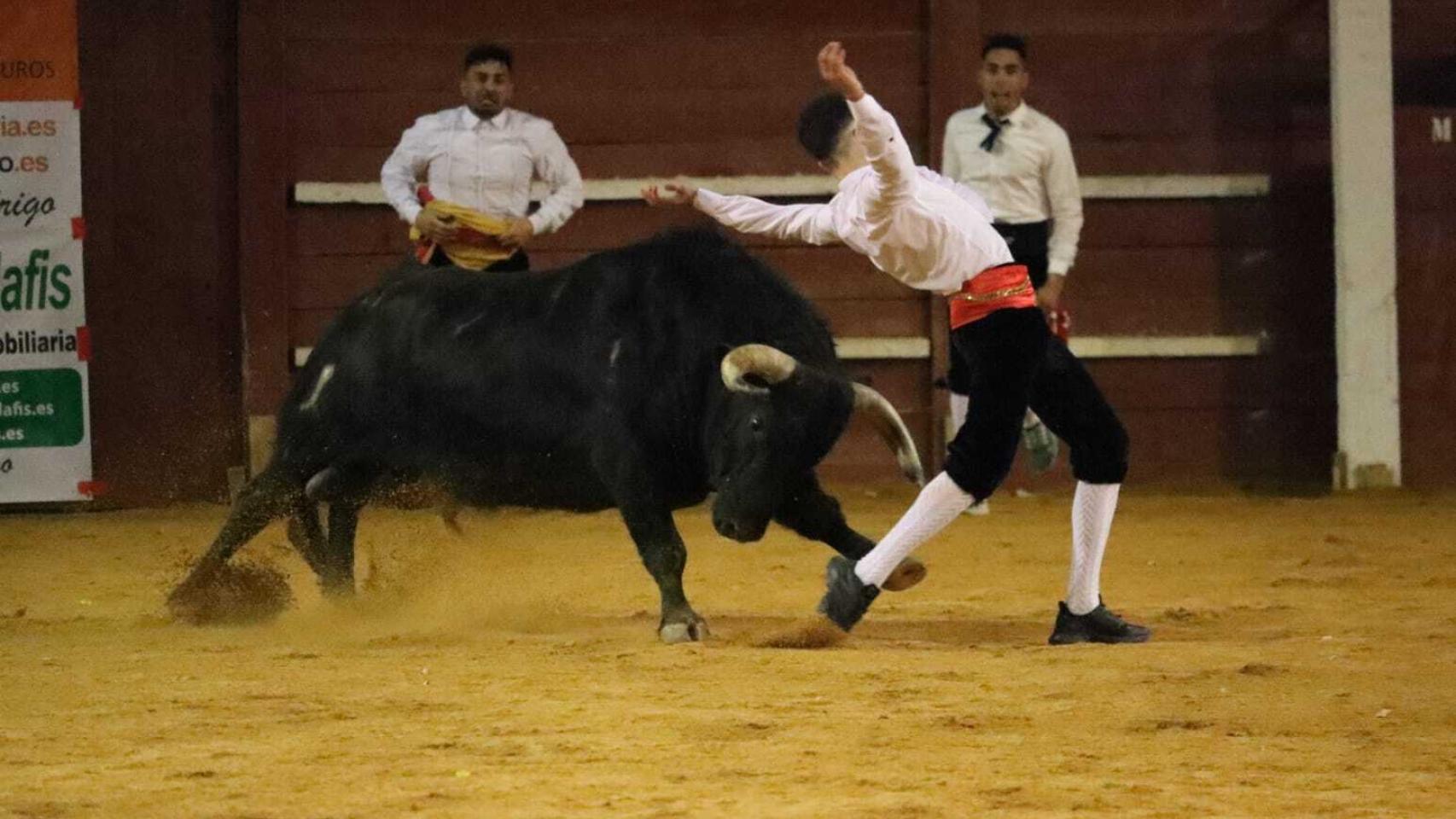 Concurso de Recortes del Carnaval del Toro de Ciudad Rodrigo 2022