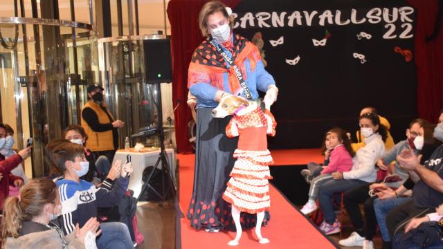 Uno de los perros participantes en el concurso