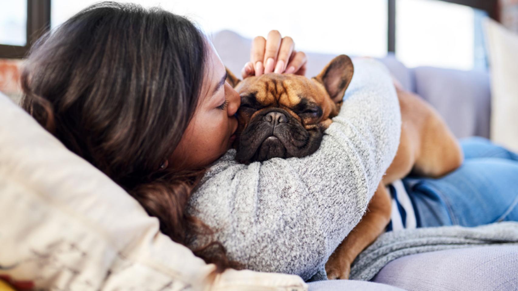 ¿Qué raza de perro elegir según mi personalidad?