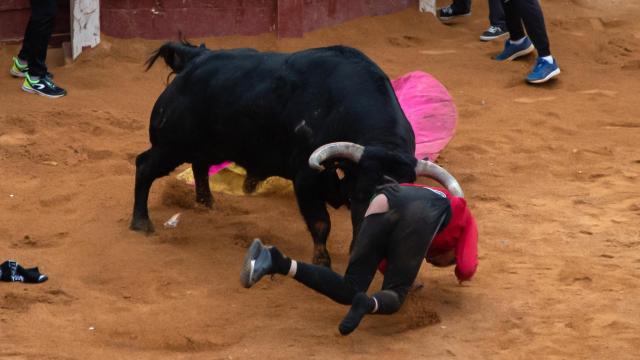 Imagen de la fuerte cogida recibida por el vallisoletano / Ical