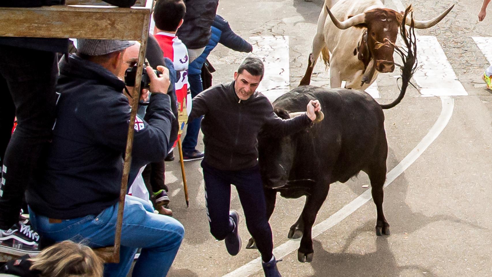 Imágenes de los encierros del Martes de Carnaval en Ciudad Rodrigo