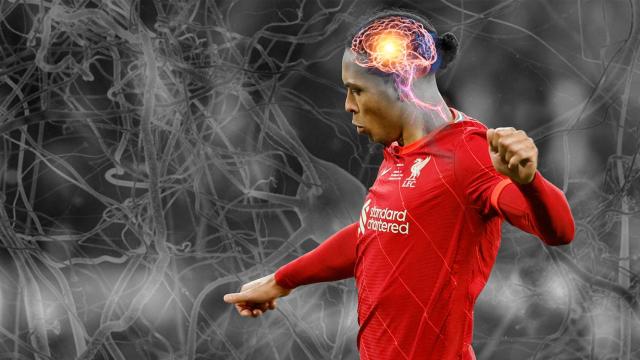 Virgil van Dijk, en un fotomontaje