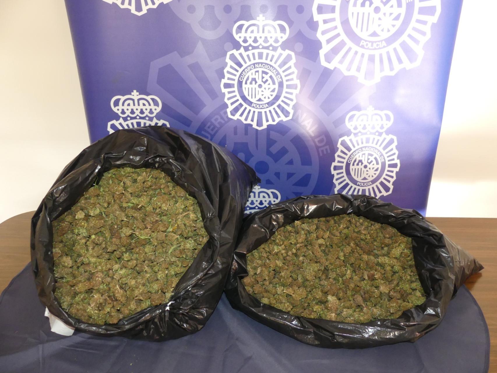 Alijo de marihuana intervenido en Aranda de duero