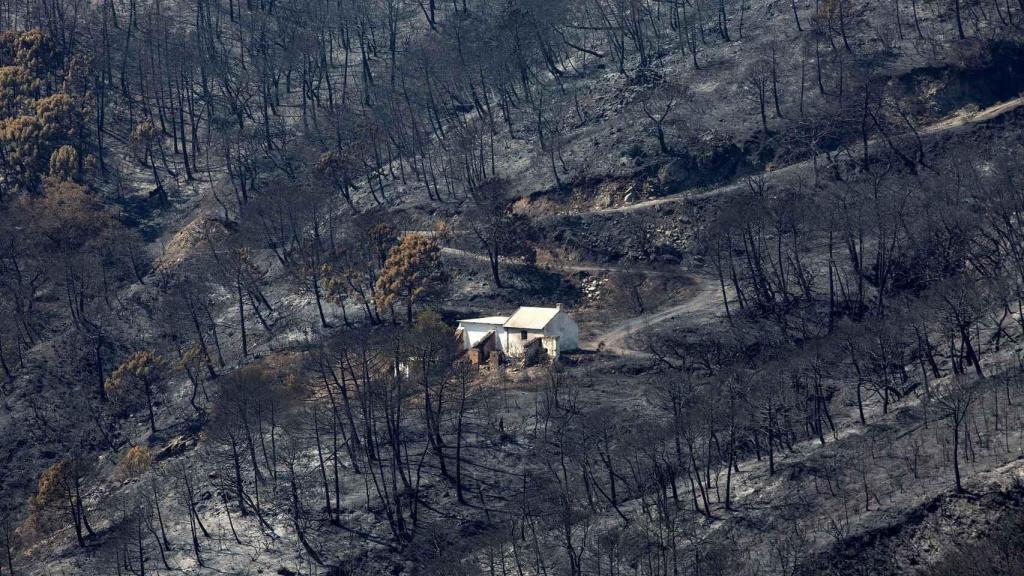 Incendio de Sierra Bermeja, en Málaga, el pasado mes de septiembre de 2021.