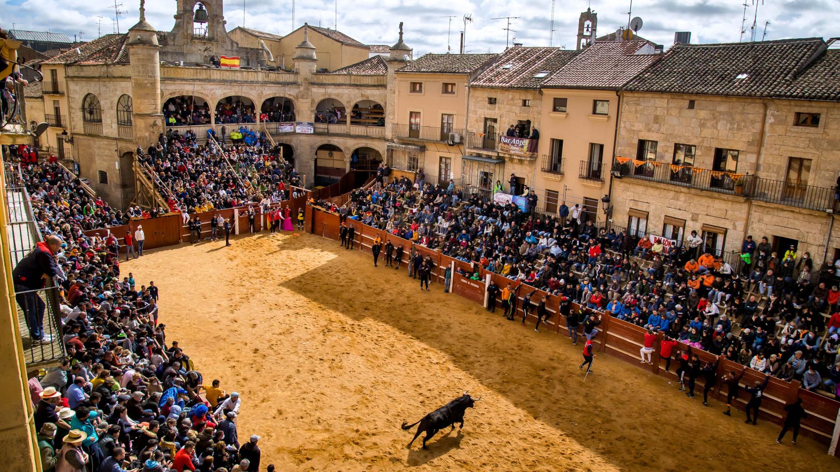 Festejos taurinos populares Miercoles de Ceniza Ciudad Rodrigo