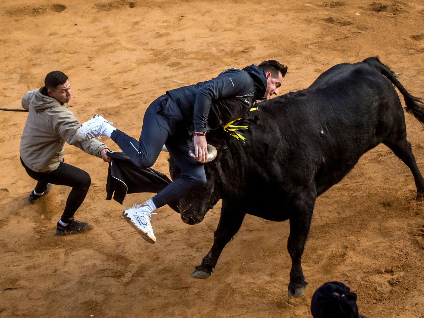 Revolcón y susto en la capea matinal del Miércoles de Ceniza en Ciudad Rodrigo