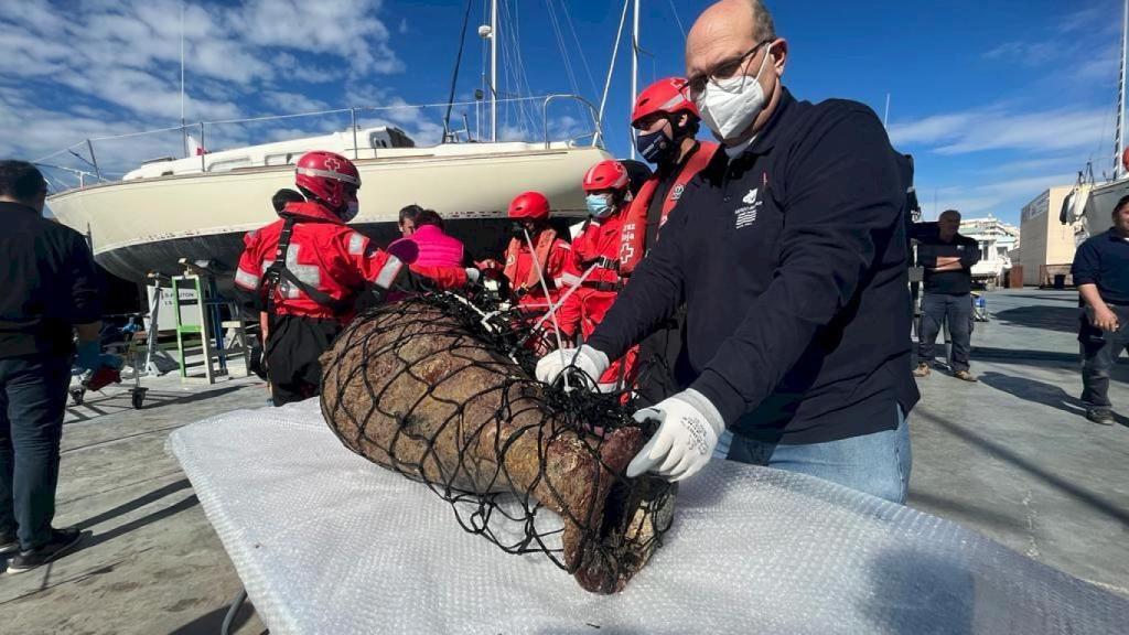 El tesoro oculto de la bahía de Santa Pola: una ánfora romana de 1.800 años de antigüedad.