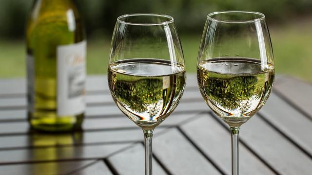 Los 7 godellos que tienes que probar para conocer el vino blanco de moda