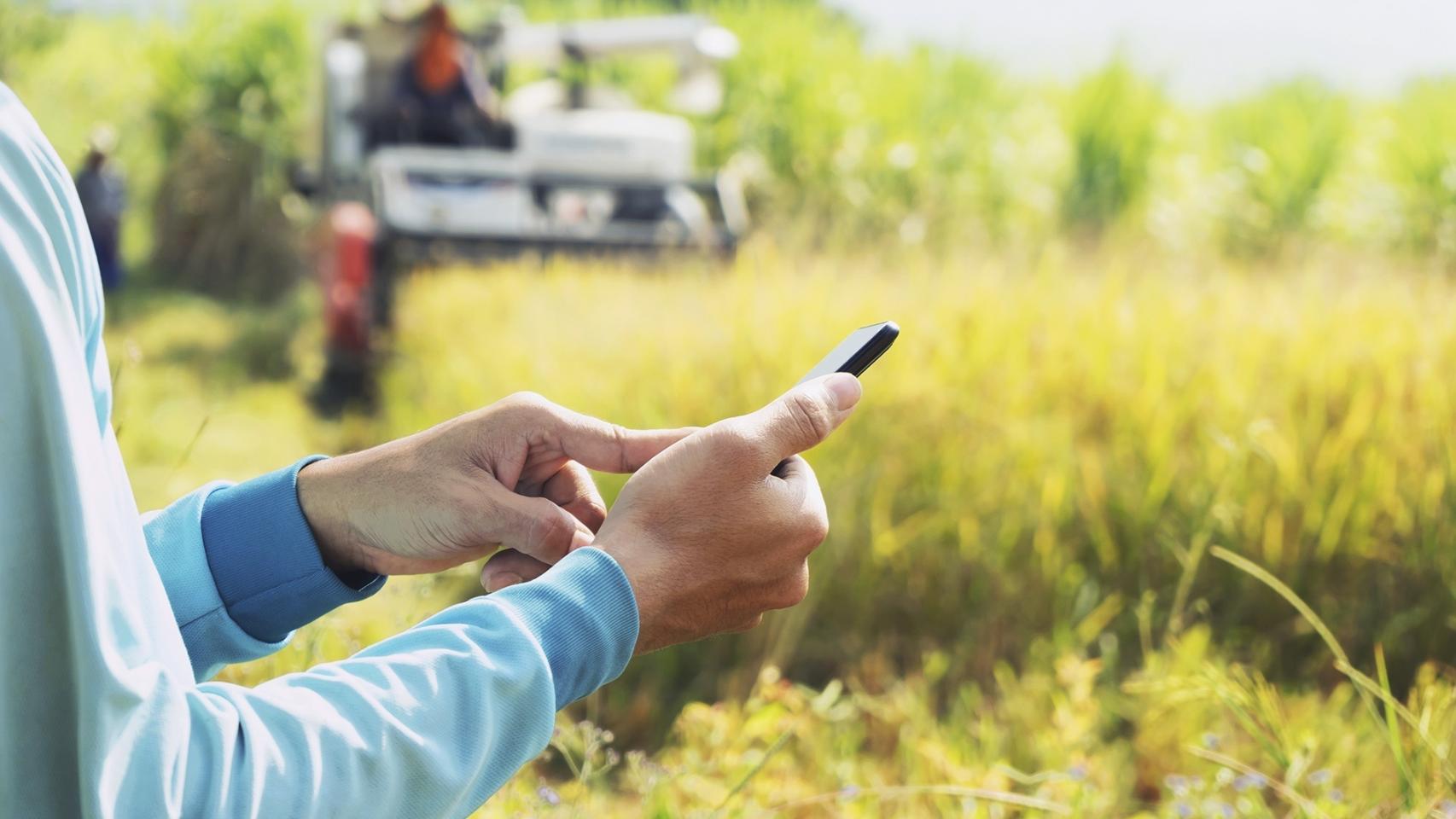 Una persona utilizando su teléfono móvil en el campo.