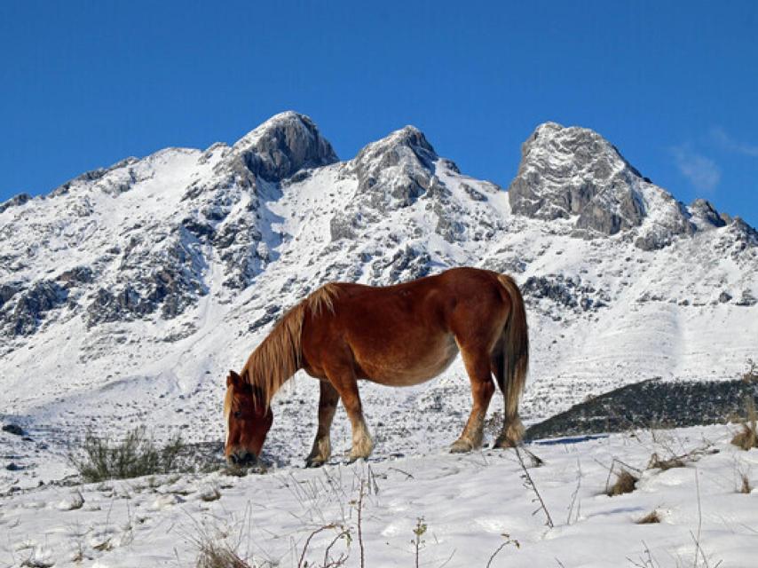 Nevada en noviembre de 2021 en la comarca de La Tercia, en la Cordillera Cantábrica leonesa, uno de los puntos con temperaturas más bajas este domingo.