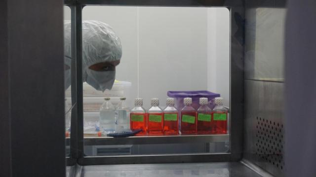 Imagen de un investigador