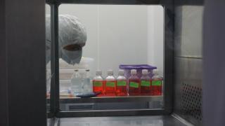 Investigadores de Ibima y el Hospital Regional lideran un estudio europeo.