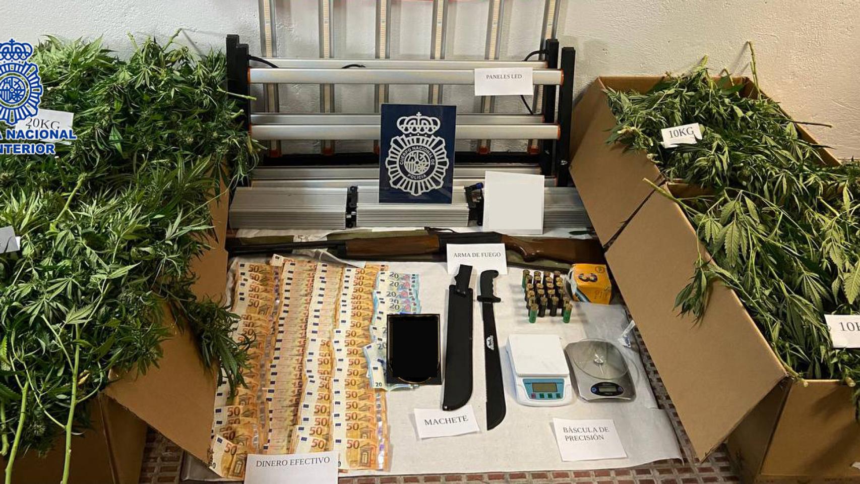 Detienen a 17 personas de dos clanes que cultivaban marihuana en Toledo