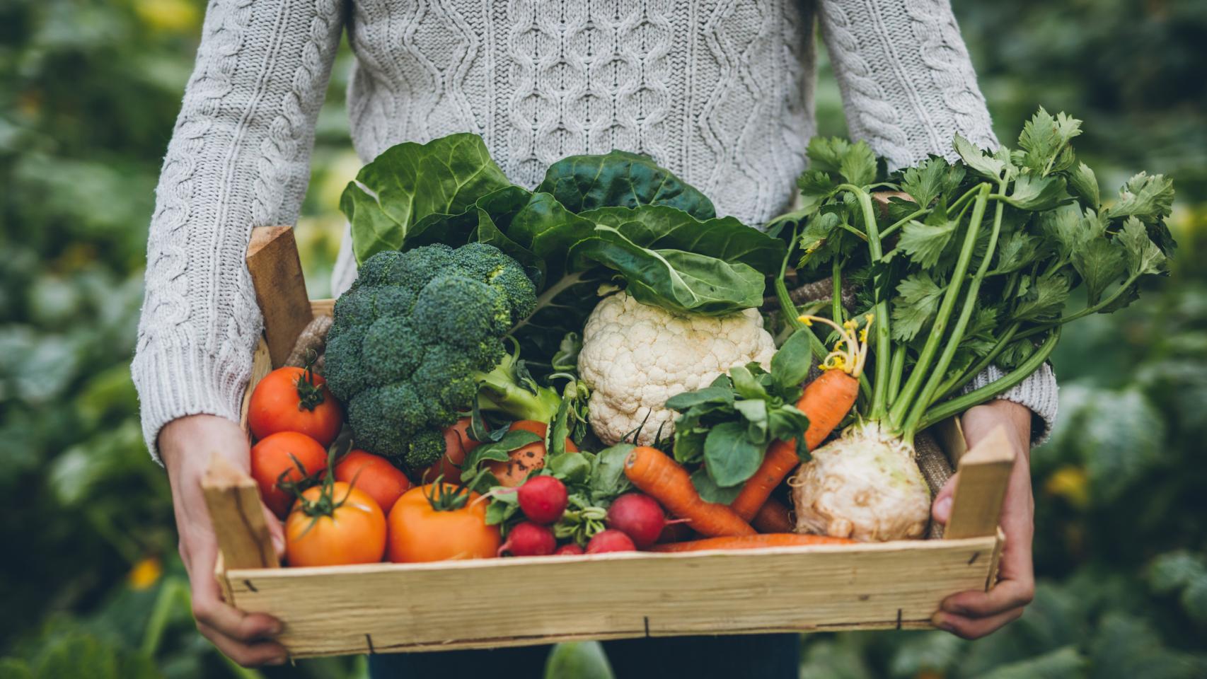 Una cesta con productos ecológicos.