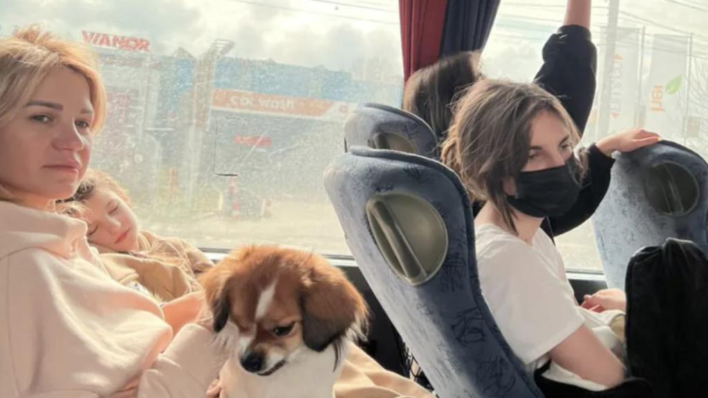 Refugiados ucranianos de camino a Valencia en autobús.