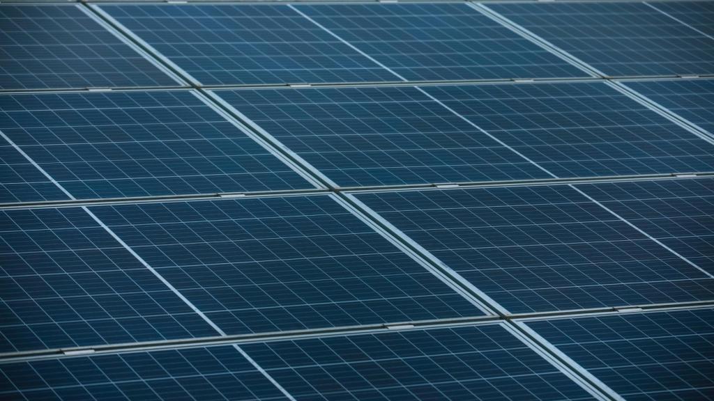 Muchos paneles solares juntos.