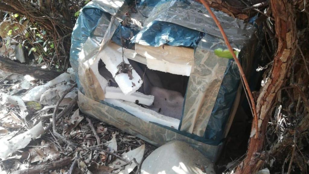 Refugios de gatos destrozados