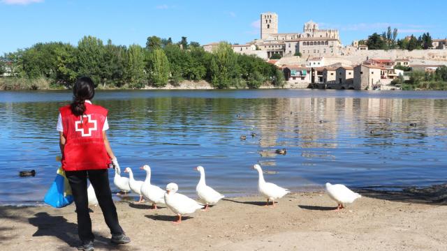 Cruz Roja en Zamora recogiendo basuraleza