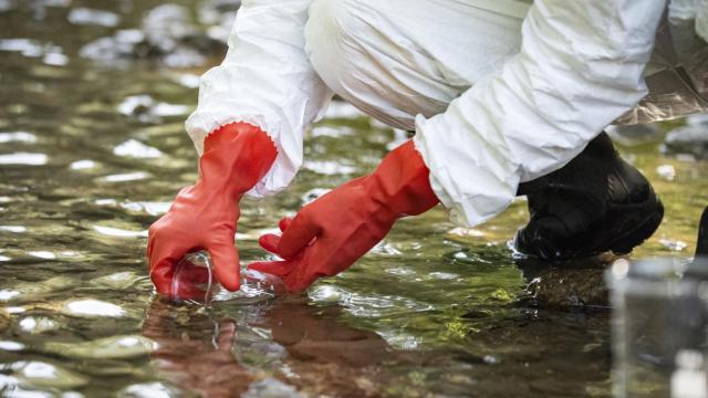 Toma de muestras para el análisis de contaminantes en los ríos.