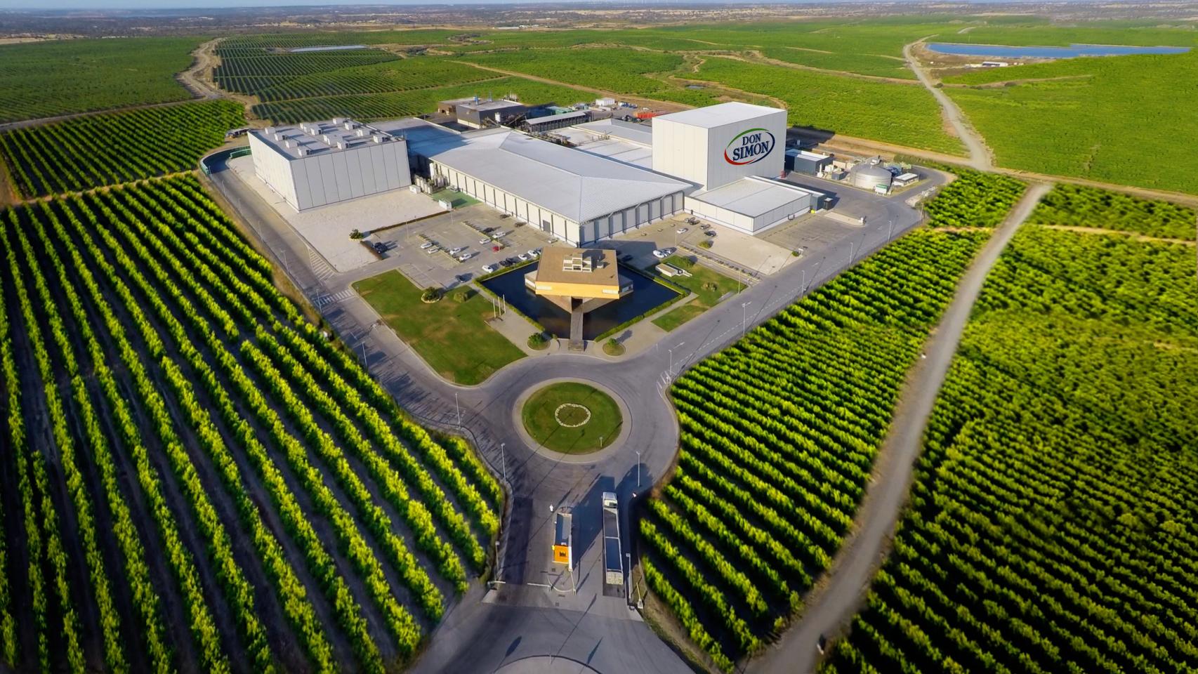 Planta DON SIMÓN en Huelva.