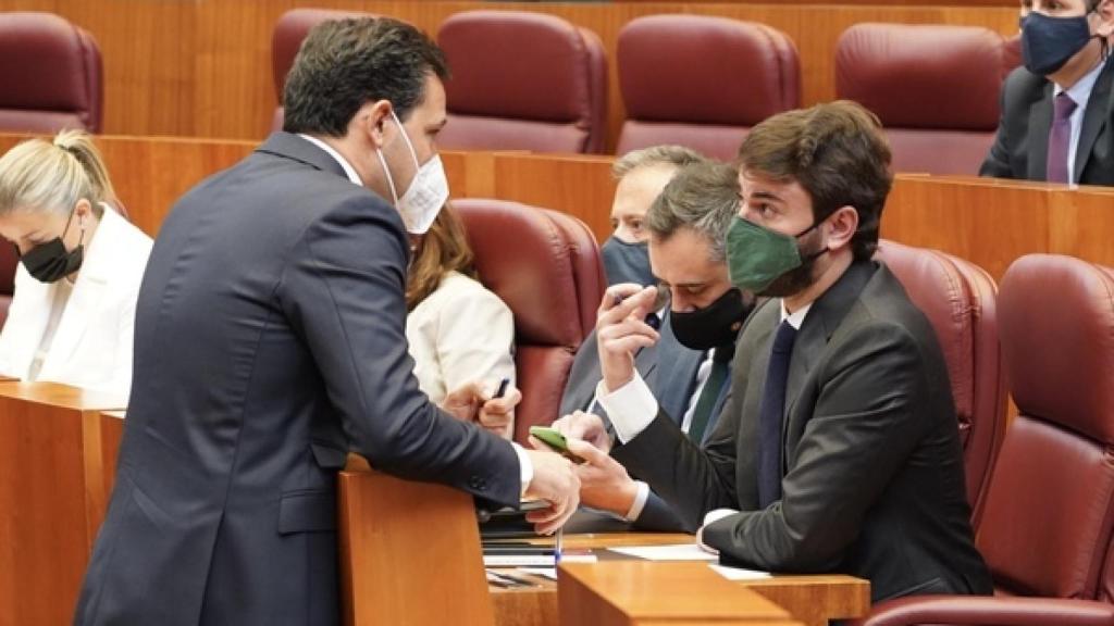 De la Hoz y Gallardo, durante el pleno
