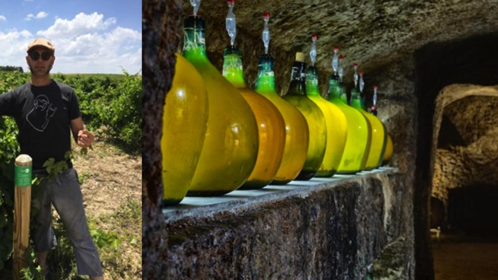 Ismael Gozalo, MicroBioWines, Nieva (Segovia)