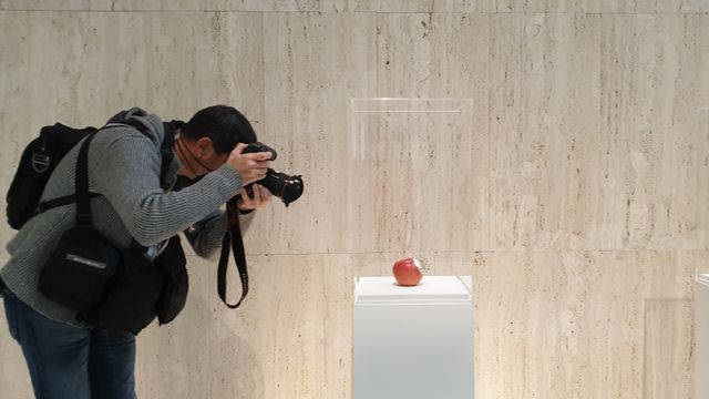 La exposición 'Obertura' presenta 70 obras que representan lo ocurrido en los últimos 50 años en el arte.