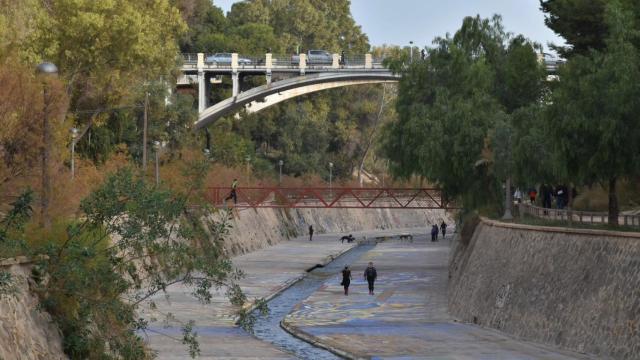 El río Vinalopó, a su paso por Elche.