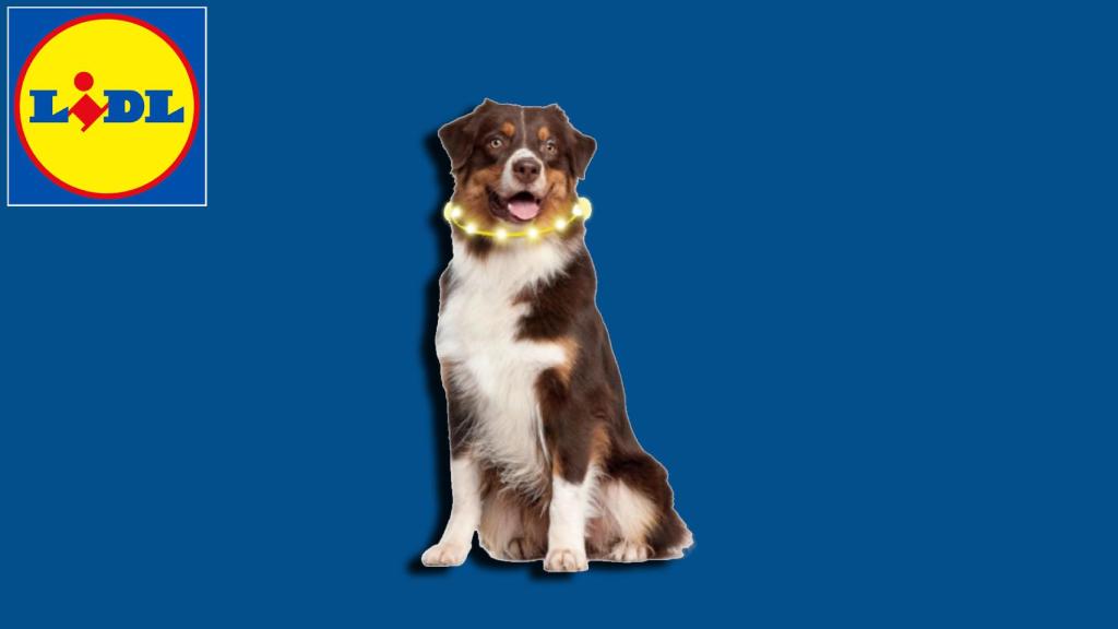Lidl tiene un collar para que no se te pierda nunca el perro.
