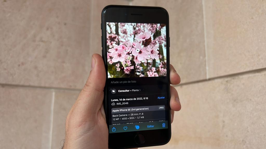 Reconocimiento de la imagen del iPhone SE con el A15