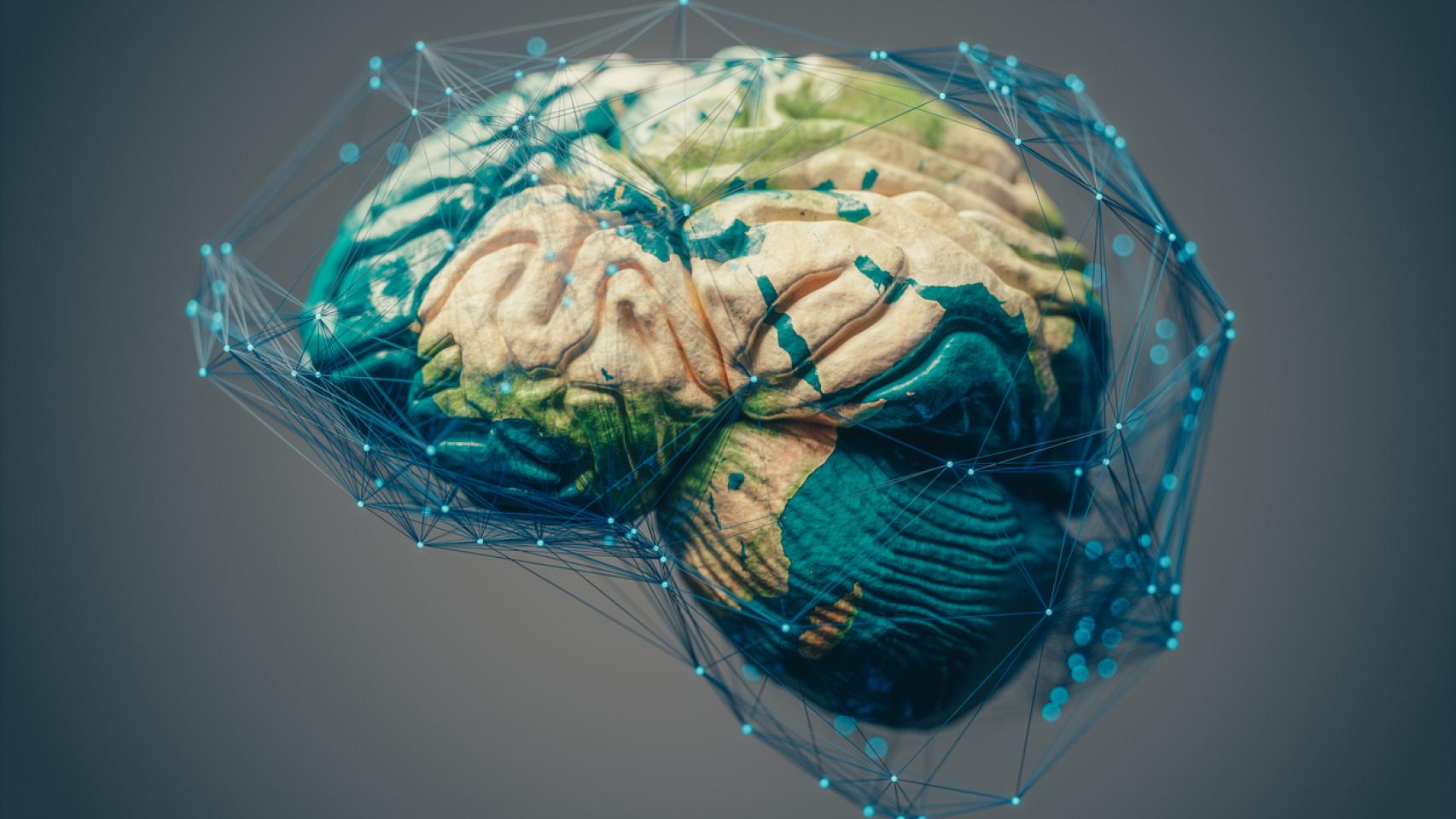 Una buena salud cerebral beneficia la acción climática: esta es la relación entre cerebro y cambio climático