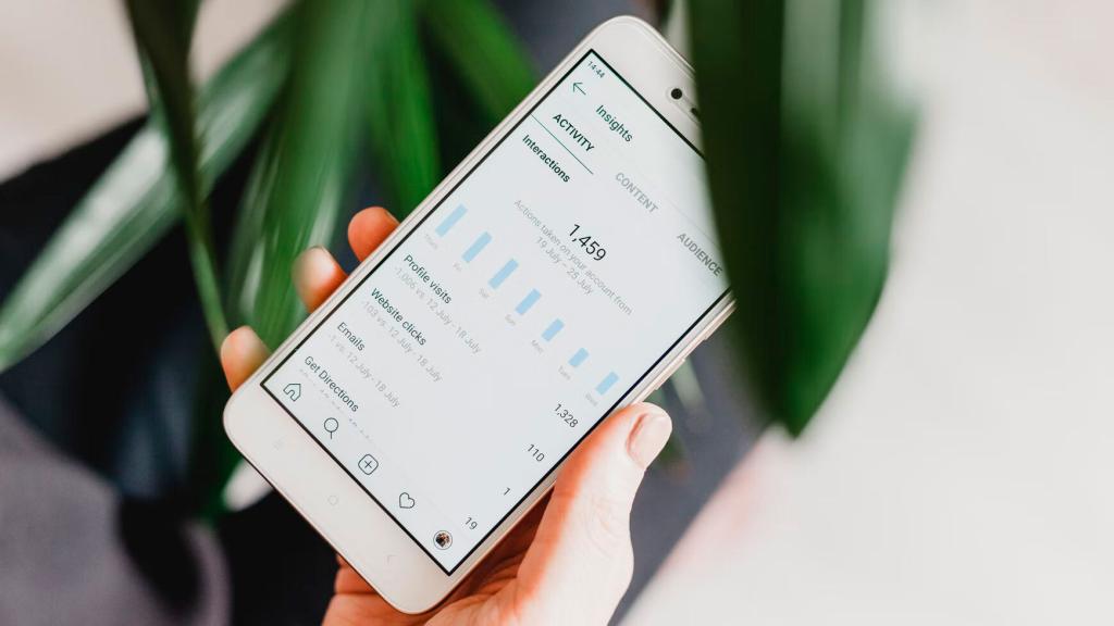 Analítica dentro de la app de Instagram