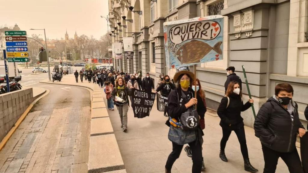 Los activistas, este martes, con pancartas en defensa del Mar Menor en el Congreso de los Diputados.