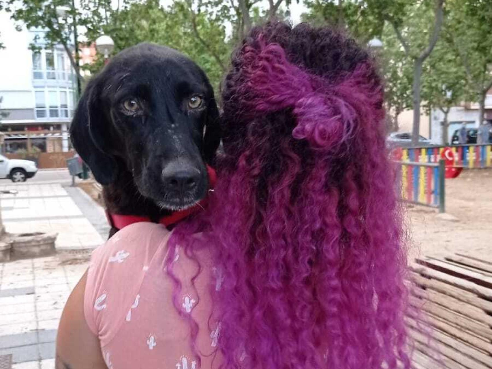 “En la época de Amazon, de si quiero algo lo tengo inmediatamente y si no me gusta lo devuelvo, lo mismo se creen con las mascotas”