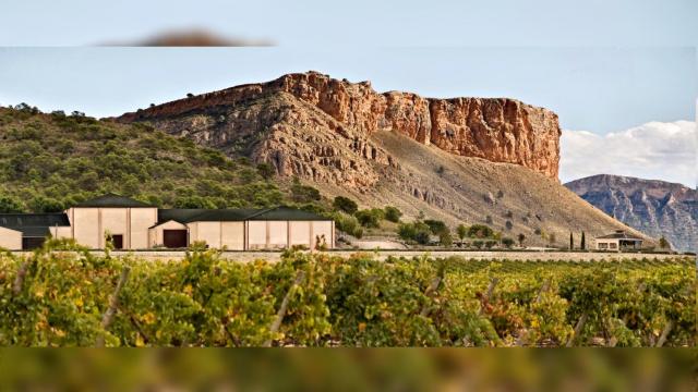 Viñedos Familia Gil, la consolidación de un imperio en el mundo del vino español