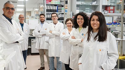 Grupo de investigación dirigido por Xosé Bustelo, del Centro de Investigación del Cáncer (centro mixto de la Universidad de Salamanca y del CSIC)