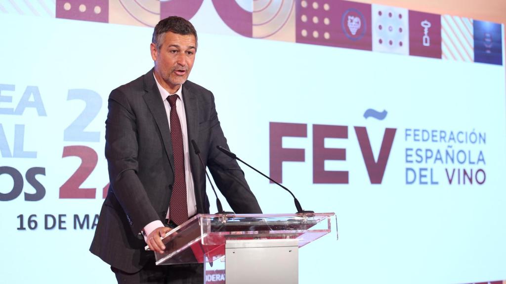 Emilio Restoy, presidente de la Federación Española del Vino (FEV). Foto: Óscar Huertas