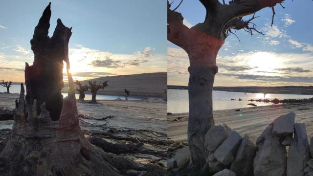 Restos de Argusino bajo las aguas de La Almendra | Foto: @cmproelos