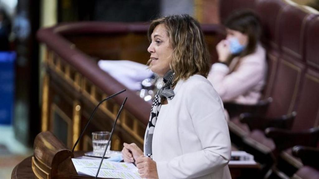 Milagros Marcos, portavoz de Agricultura del PP en el Congreso.