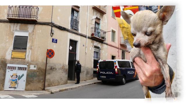 Uno de los perros rescatados y, al fondo, el edificio donde tuvo que intervenir la Policía Nacional.
