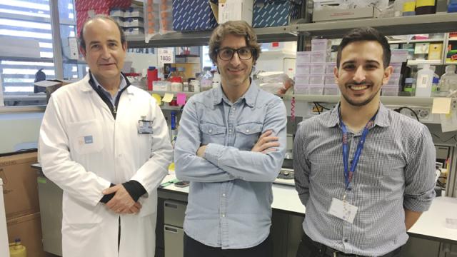 De izquierda a derecha, Joan Albanell, Toni Celià-Terrassa y Iván Pérez-Núñez.