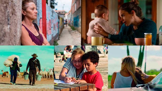 Málaga, apuestas para una Biznaga ganadora