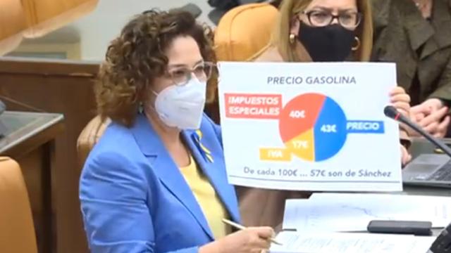Carmen Riolobos, diputada nacional del Partido Popular. Foto: Twitter @CarmenRiolobos.