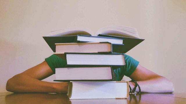 Se adelanta el plazo para las becas MEC 2022/2023: Cómo solicitarlas y cuál es la cuantía