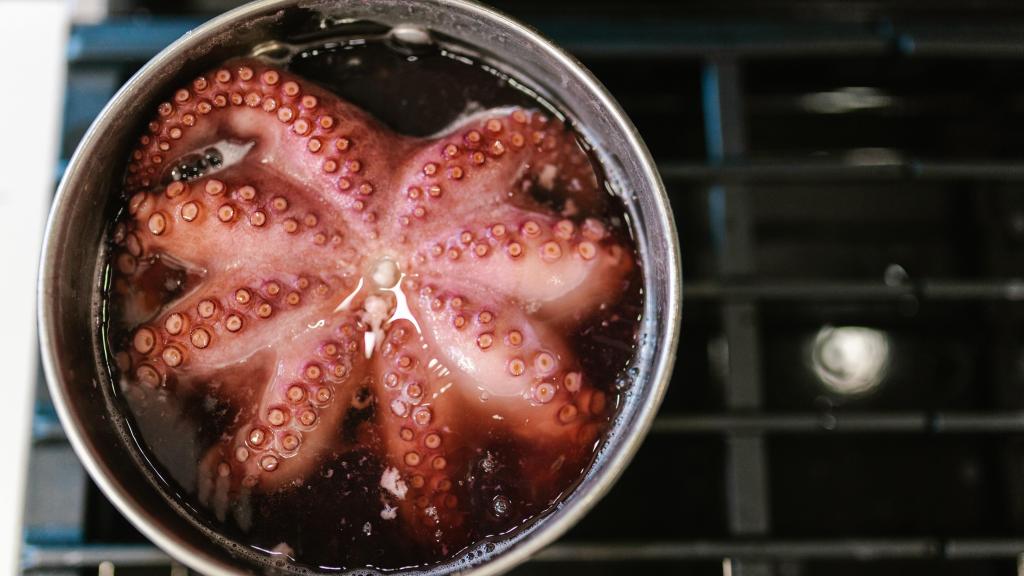 La clave del pulpo á feira, aparte de la calidad del producto, es un punto justo de cocción, pimentón y un buen AOVE.