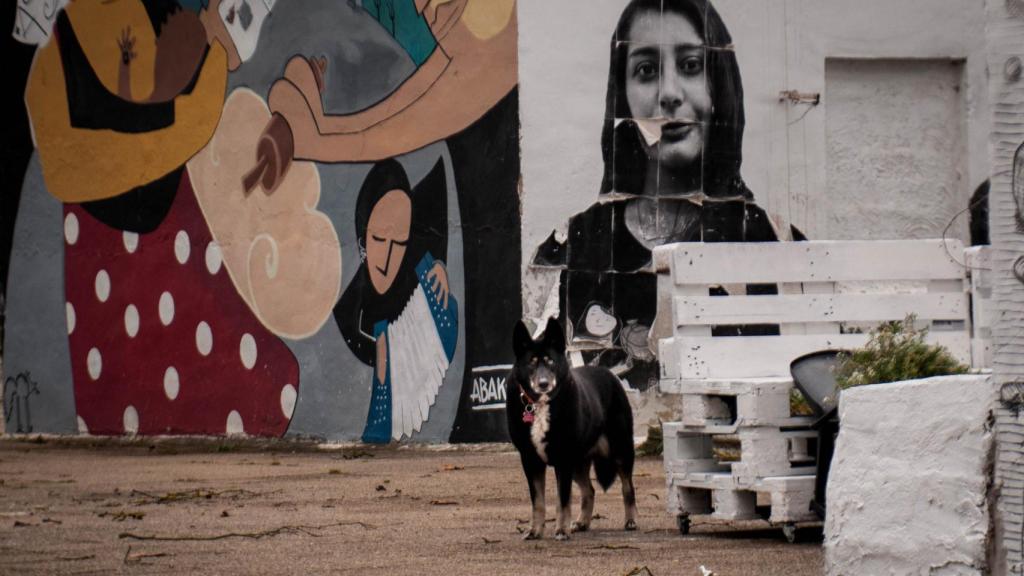 Loba, la perra de una vecina del barrio.
