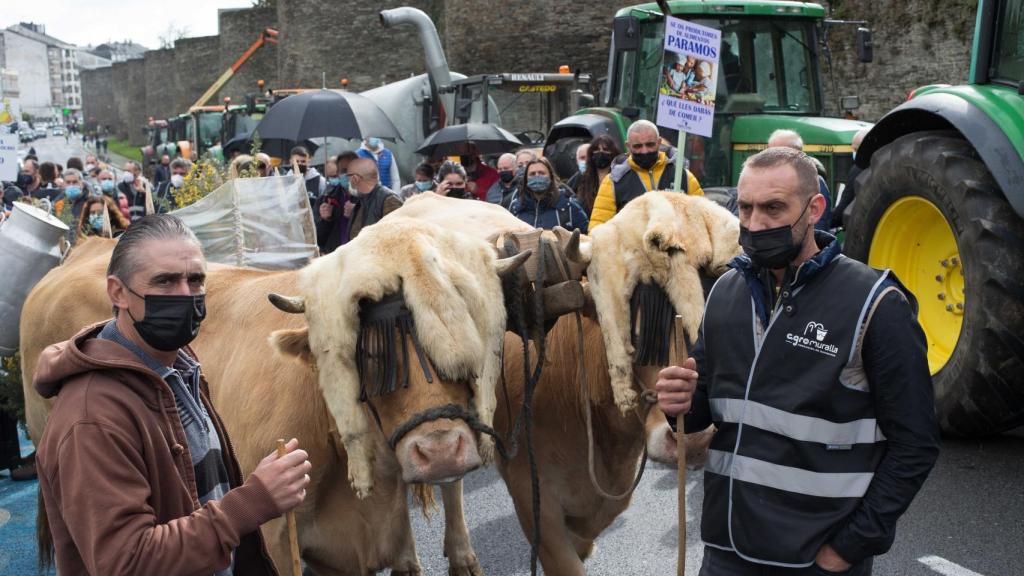 Una manifestación de ganaderos, en Lugo.