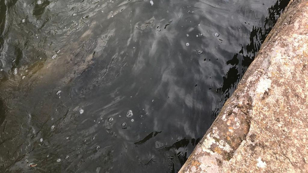 Un carro de la compra tirado en el cauce del río.
