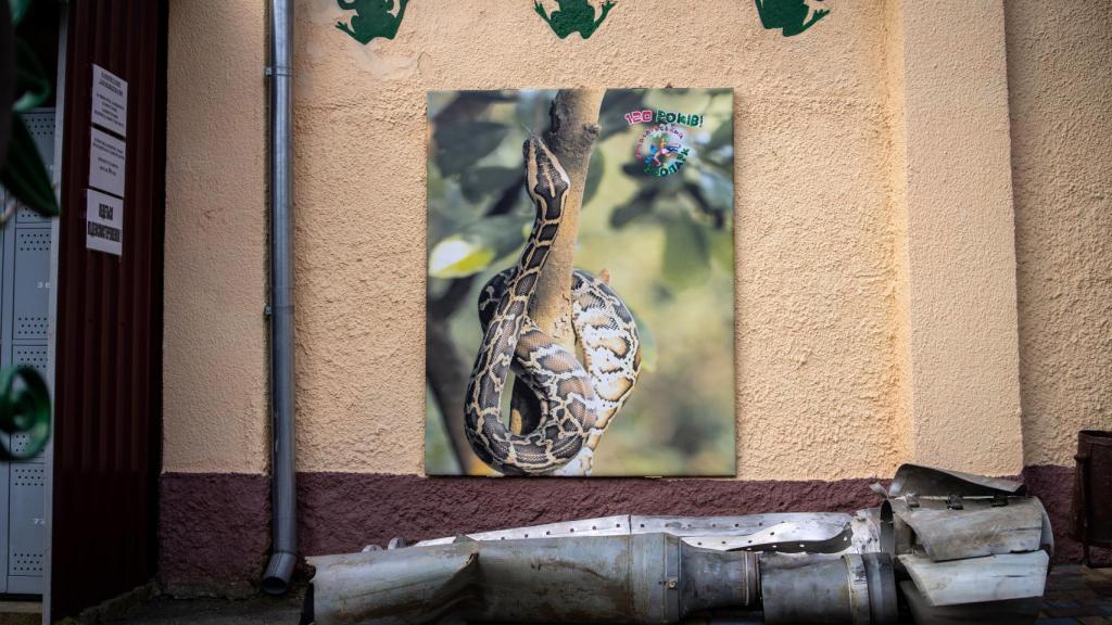 Proyectiles que no explotaron en el interior del zoo de Mykolaiv.