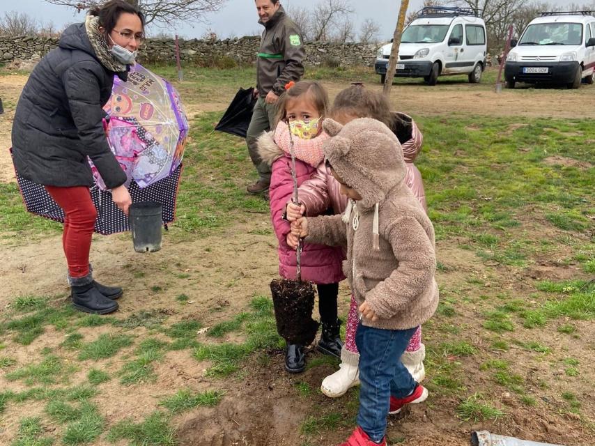 Los escolares de Lumbrales planan un árbol